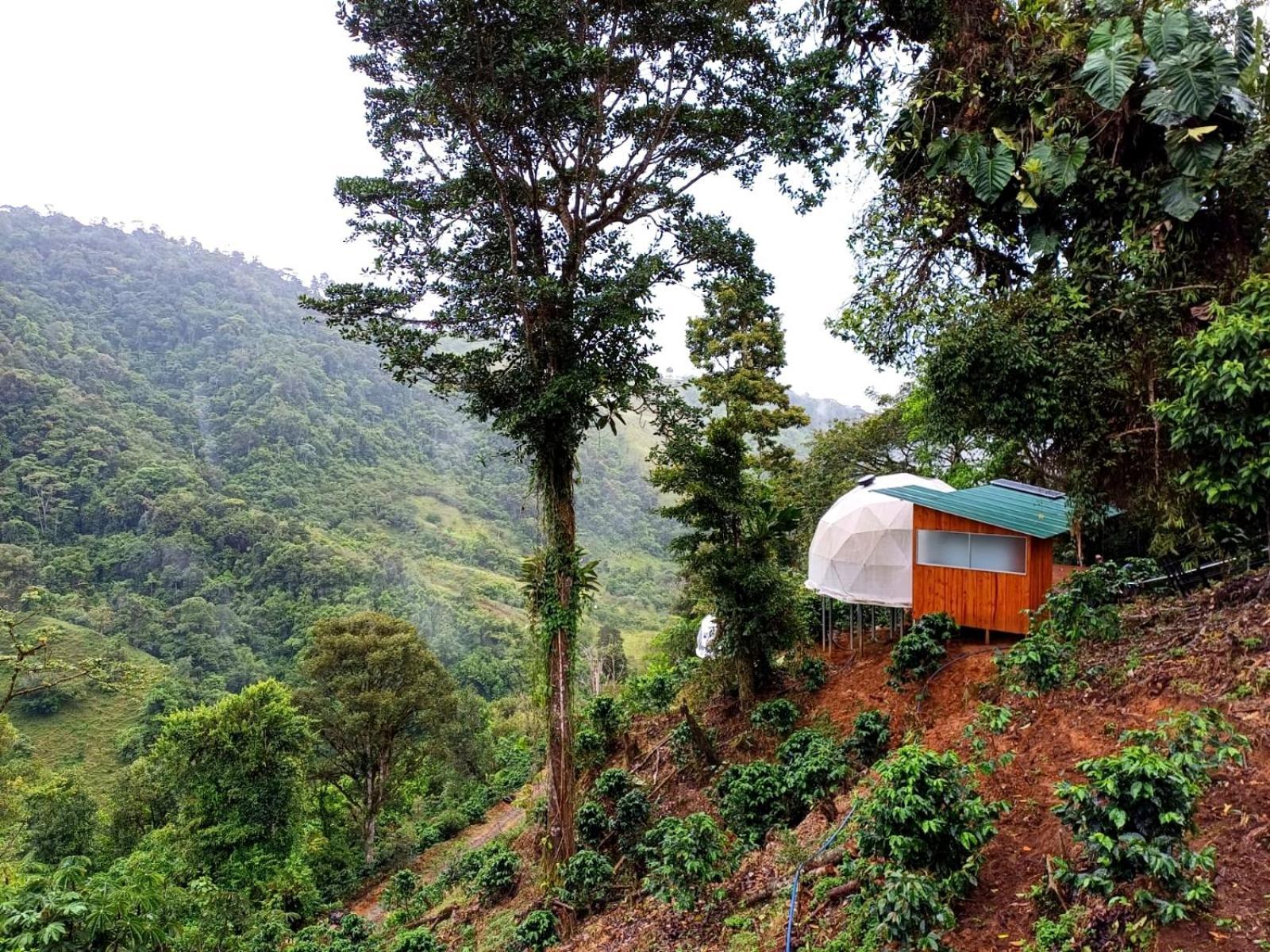 Hotel Rivel - Restaurant & Nature Retreat Turrialba Exterior photo