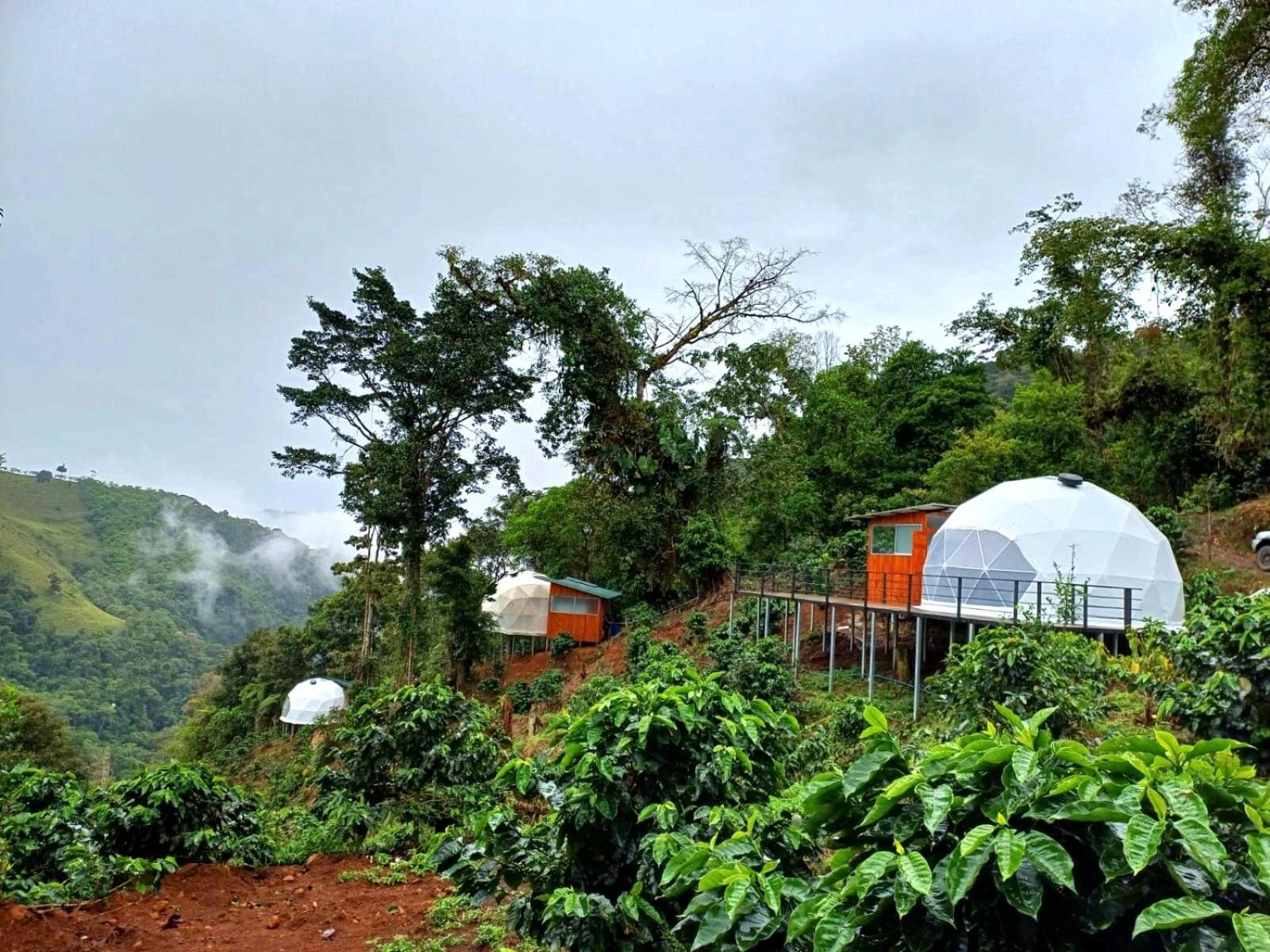 Hotel Rivel - Restaurant & Nature Retreat Turrialba Exterior photo
