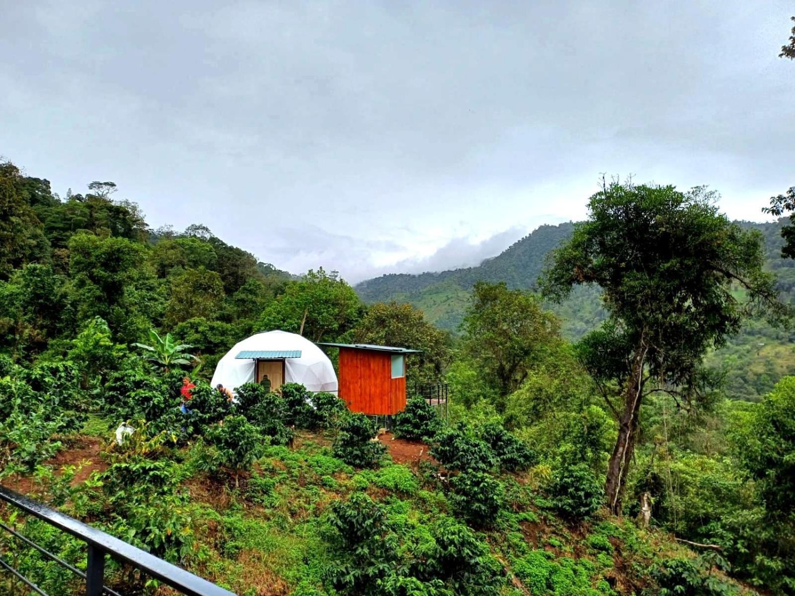 Hotel Rivel - Restaurant & Nature Retreat Turrialba Exterior photo