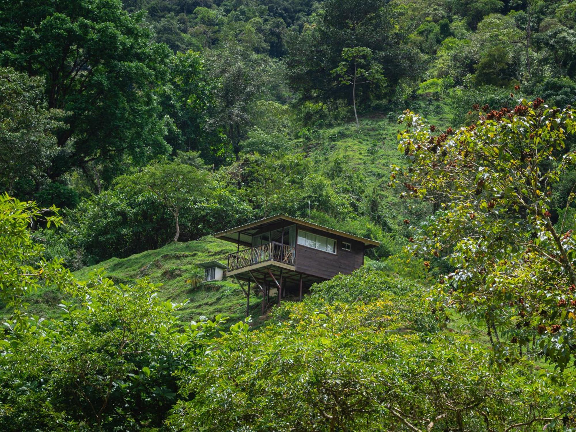 Hotel Rivel - Restaurant & Nature Retreat Turrialba Exterior photo