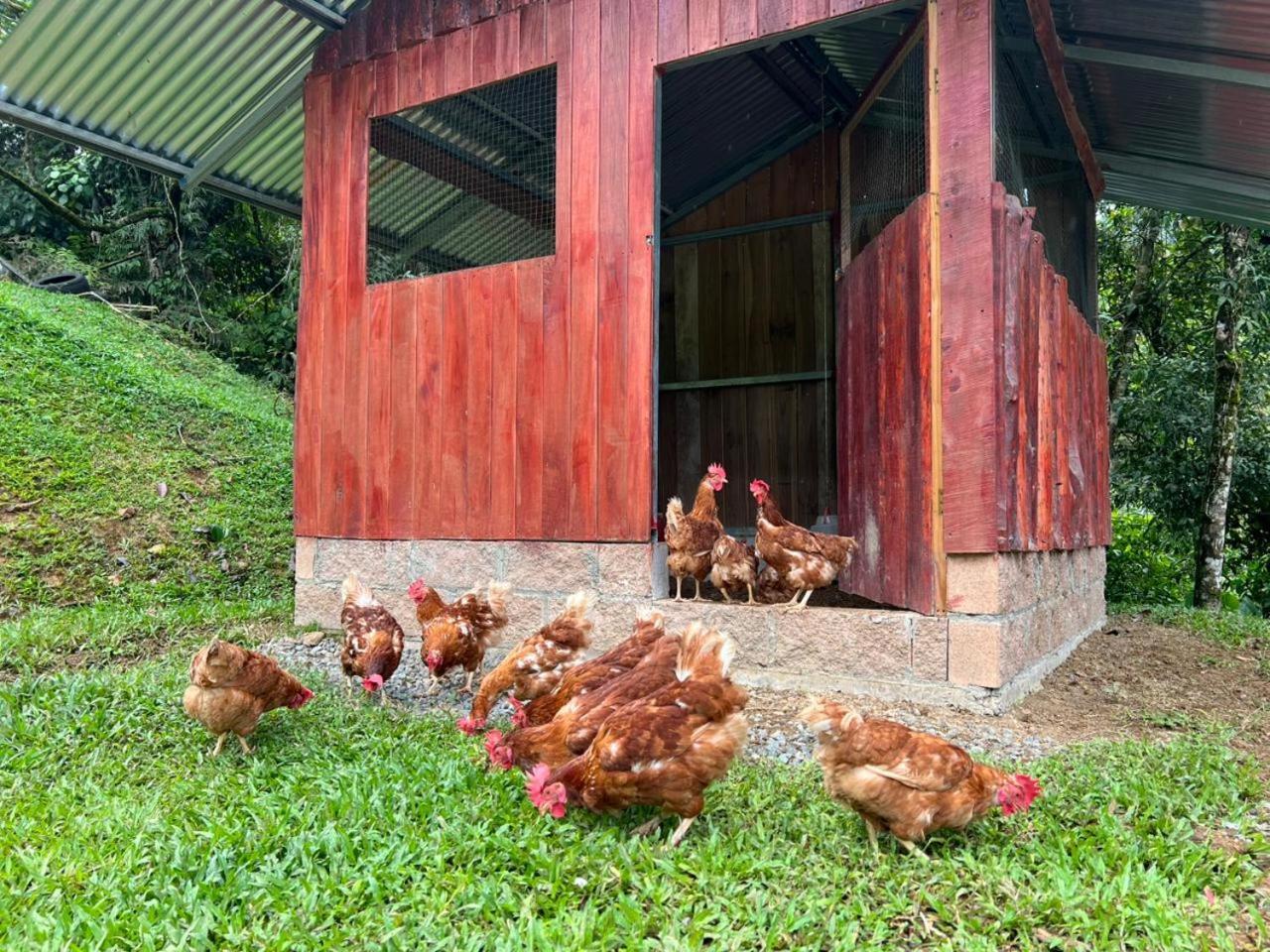 Hotel Rivel - Restaurant & Nature Retreat Turrialba Exterior photo